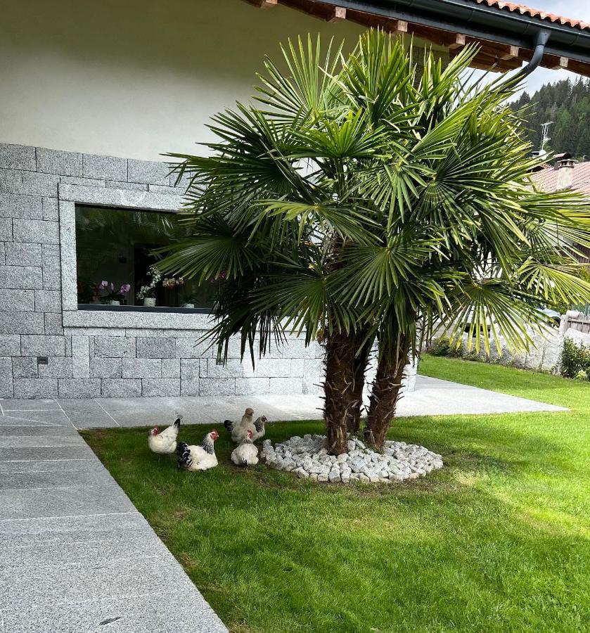 B&B Casa Il Sasso Pinzolo Exterior foto